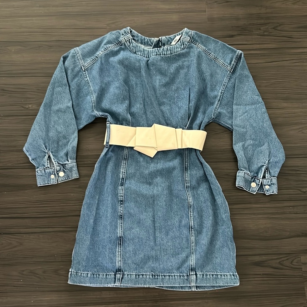 Zara dress